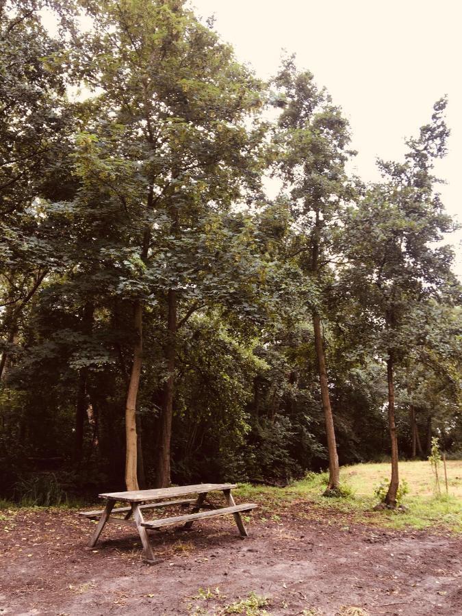 Basic Lodge In Nature Schagerbrug Bagian luar foto
